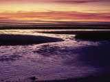 Buy Tidal Flat at Sunset, Cape Cod, MA at AllPosters.com