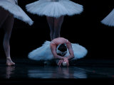 Ballet, Live Performance