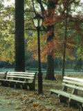 Central Park, NYC, NY