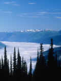 Buy Columbia River Valley, Canada at AllPosters.com