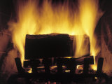 Log Burning in Fireplace