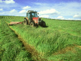 Tractor Cutting Grass Meadow for Silage Farming, UK