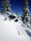 Buy Downhill Skiing at AllPosters.com