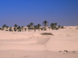 Buy Great Dune on the Sahara, Douz, Tunisia at AllPosters.com