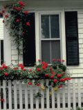 White Picket Fence, Martha's Vineyard, MA