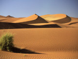 Buy Sand Dunes in Namib Desert, Namibia at AllPosters.com
