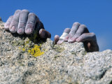 Buy Hands Holding Onto Cliff, Djin Needle, CA at AllPosters.com