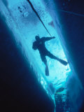 Buy Man Diving in Water Between Ice at AllPosters.com