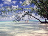 View of Couple Wading in Water, Cayman Islands