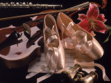 Ballet Shoes, Violin, Flute, and Flower Photographic Print