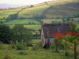 The Mourne Mts, County Down, Northern Ireland