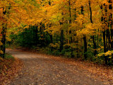 Buy Rural Road in Autumn at AllPosters.com