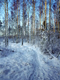 Buy Sweden, Torso, Lake Vanern, Trail at AllPosters.com