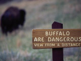 Theodore Roosevelt National Park, ND