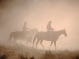 Wrangling Wild Horses