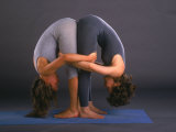 Women in Yoga Posture Together