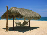 Buy Cabo St. Lucas, Beach Palapa and Hammock at AllPosters.com