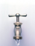 Water Coming Out of a Faucet