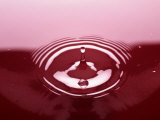 Water Drop in Red Puddle