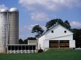 Amish Farm with Tobacco Dried in Barn, PA