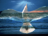 Bird Superimposed Over Ocean