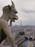 Gargoyle, Notre Dame, Paris, France Photographic Print