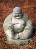 Statue of Buddha Sitting on Pine Straw