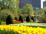 Public Gardens, Boston, MA