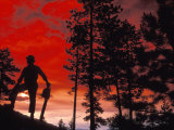 Man with Chainsaw Standing in Forest