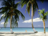 View of Couple Walking on Beach, Cayman Islands