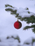 X Mas Ornament on Tree Fotografie-Druck