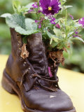 Flower Boot, Country Village Shops and Cafes, WA