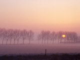 Buy Holland at Dusk at AllPosters.com
