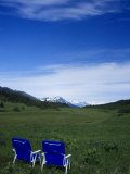 Buy 2 Chairs in Flower Field, Kenai, Alaska at AllPosters.com