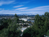 Century City in the Distance, La, California