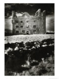 Buy Leamaneagh Castle, County Clare, Ireland at AllPosters.com