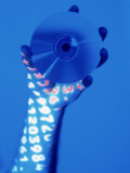 Buy Digital Code Projected on Hand with Disc at AllPosters.com