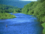 Buy Fishs Eddy Stream, Man Fly Fishing at AllPosters.com