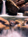 Buy Waterfall on Side Canyon of Colorado River at AllPosters.com