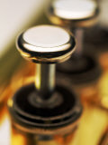 Two Keys of a Brass Trumpet Photographic Print