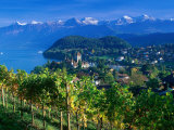 Castle and Vines, Spiez, Switzerland