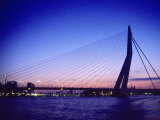 Buy Erasmus Bridge, Erasmusbrug, Rotterdam at AllPosters.com