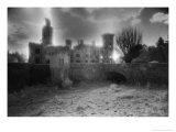 Buy Wilton Castle, County Wexford, Ireland at AllPosters.com