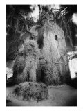 Buy Ballaghmore Castle, County Laois, Ireland at AllPosters.com