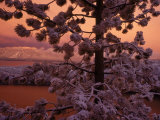 Buy Lake Tahoe at Sunset with Snow, California at AllPosters.com