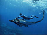 Diver Swims with Giant Manta Ray, Mexico