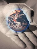 Buy Global Options at AllPosters.com