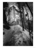 Buy Bran Castle, Transylvania, Romania at AllPosters.com