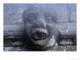 Buy Gargoyle, Church of St Helen, West Keal, Lincolnshire, England at AllPosters.com