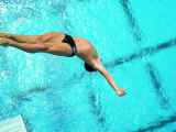 Diver